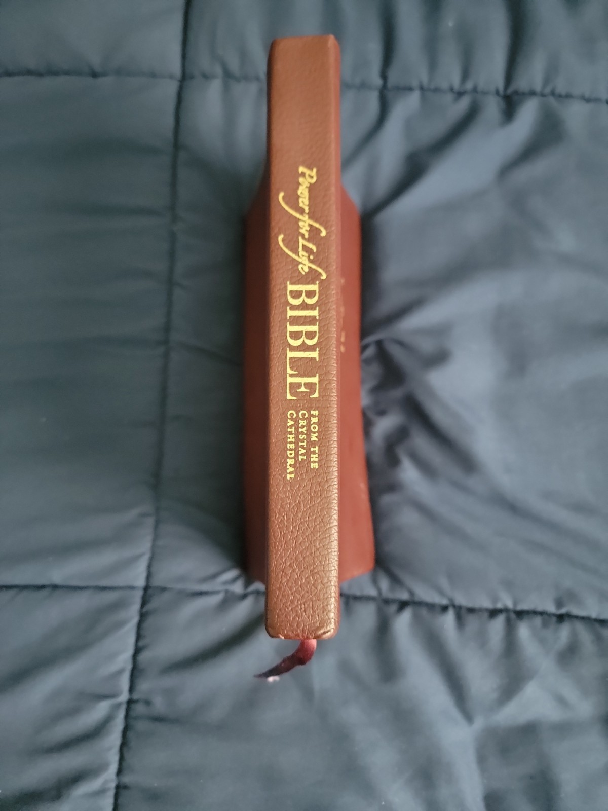 Power For Life Genuine Leather TNIV Study Bible