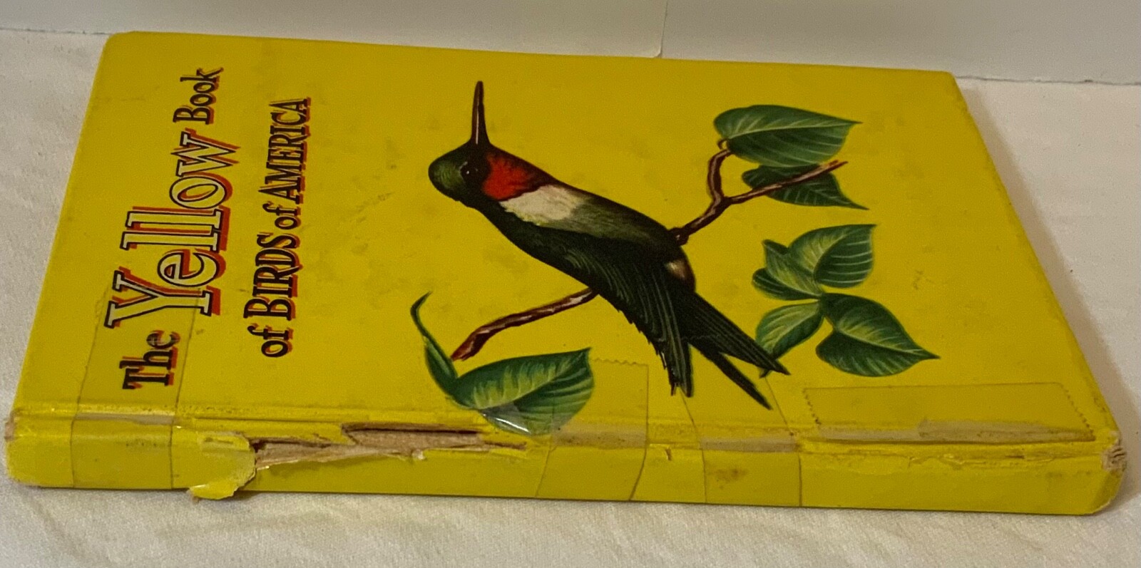 VTG 1954 The Yellow Book of Birds Of America Whitman Publishing 2978:25 HTF