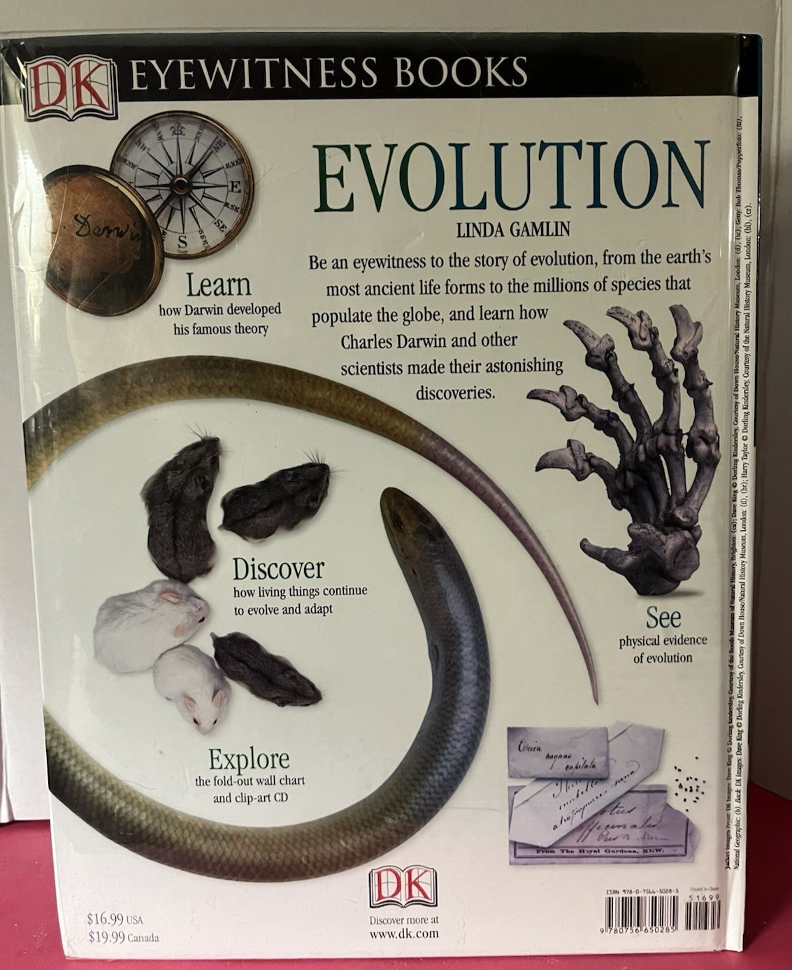 DK Eyewitness Books–EVOLUTION–with clip-art CD–hardcover 72 pages–pre-owned