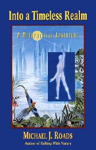Into a Timeless Realm: A Metaphysical Adventure – Paperback – GOOD