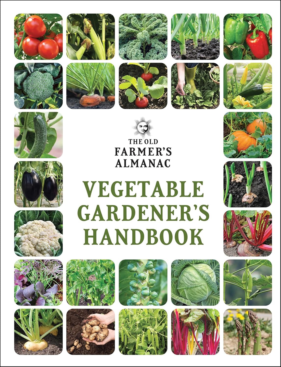 PLANTING VEGETABLE GARDENERS HANDBOOK Practical Gardening Tips Harvesting Guide