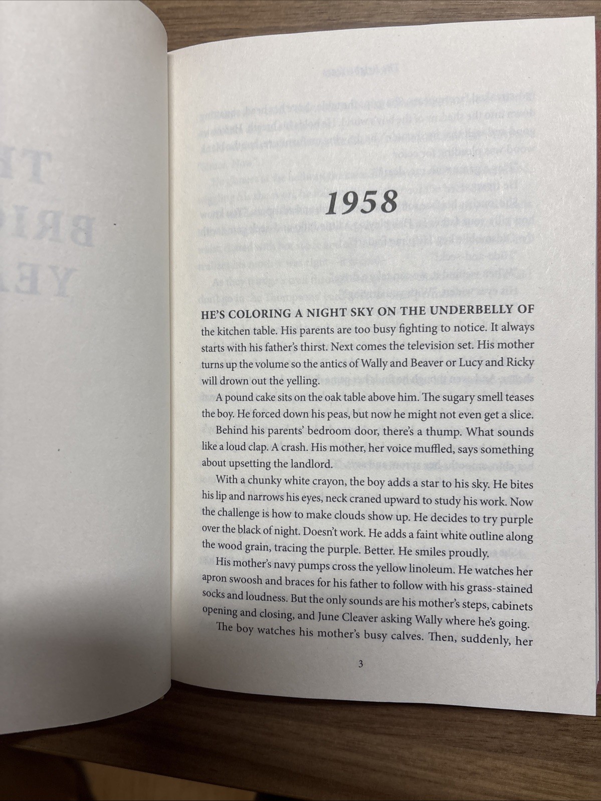 Bright Years by Sarah Damoff (2025, Hardcover)
