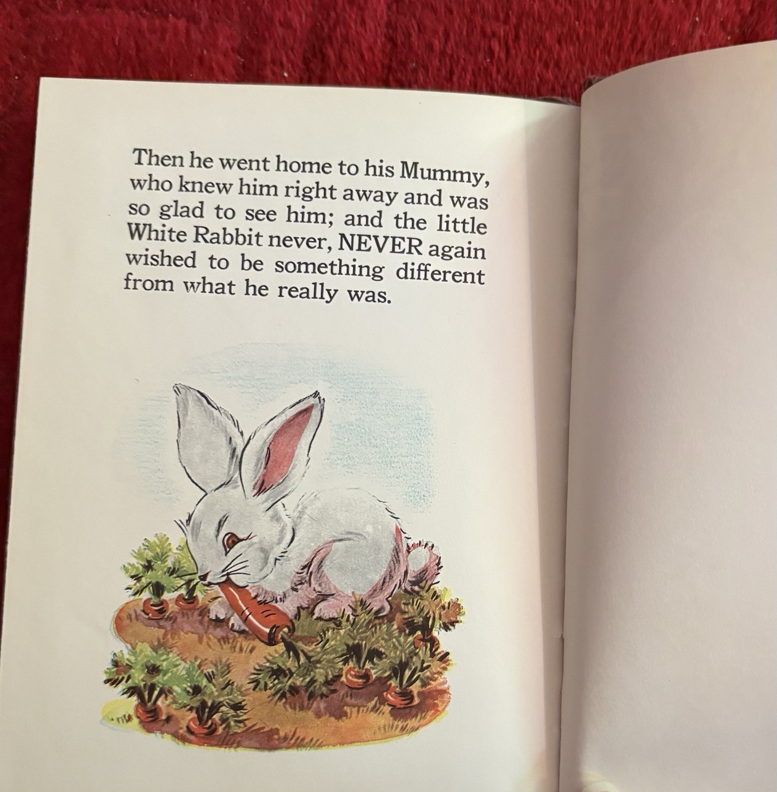 The Little Rabbit Who Wanted Red Wings by Carolyn Sherwin Bailey P&M 1961