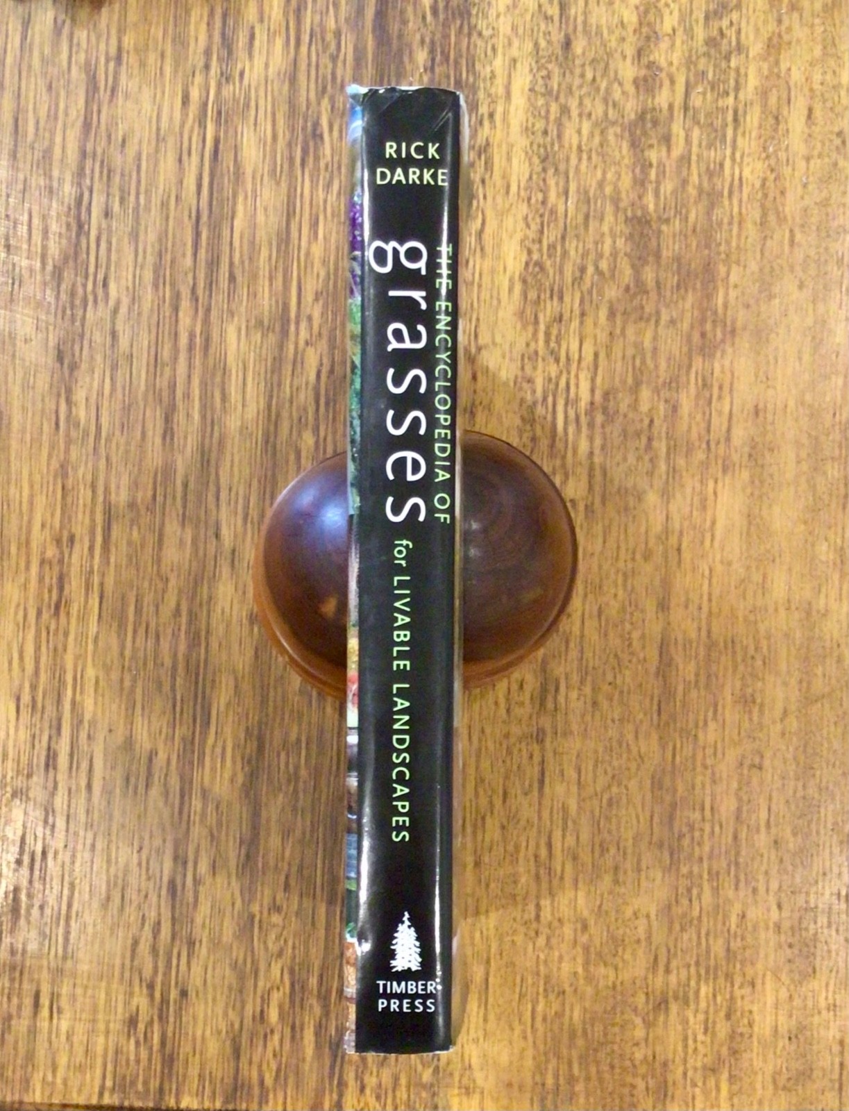 LANDSCAPING: RICK DARKE: The Encyclopedia of GRASSES for Livable Landscapes HBDJ