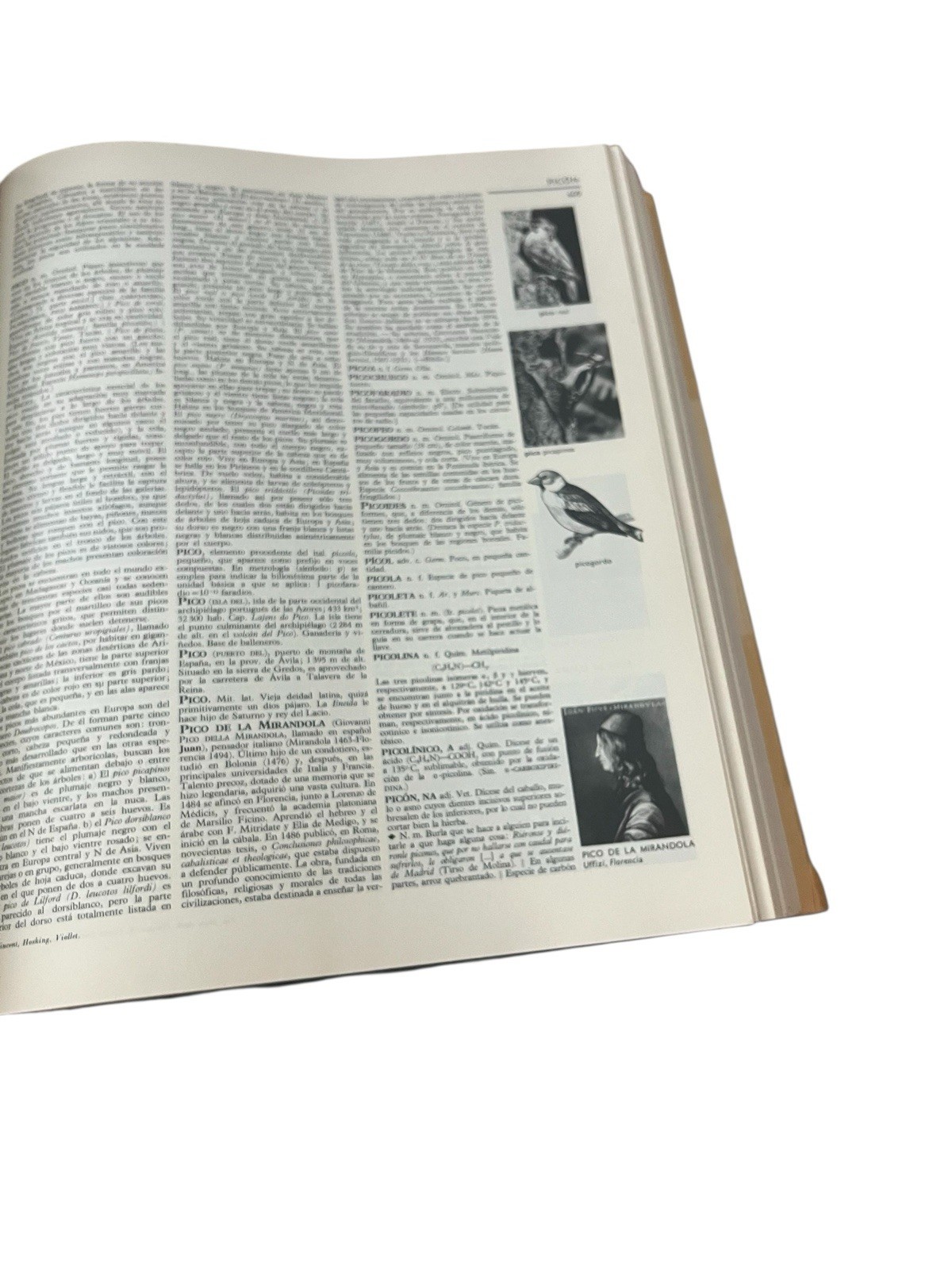 Large Larousse Encyclopedic Dictionary. Volume 8. P – R