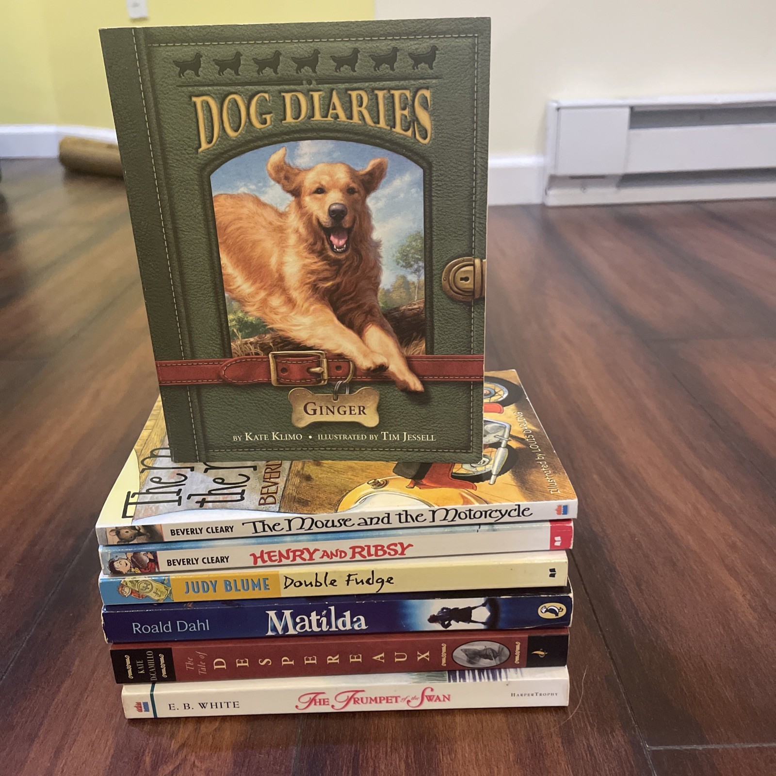 Lot of 7 Popular Young Reader: Matilda, Tale of Despereaux, Mouse and Motorcycle