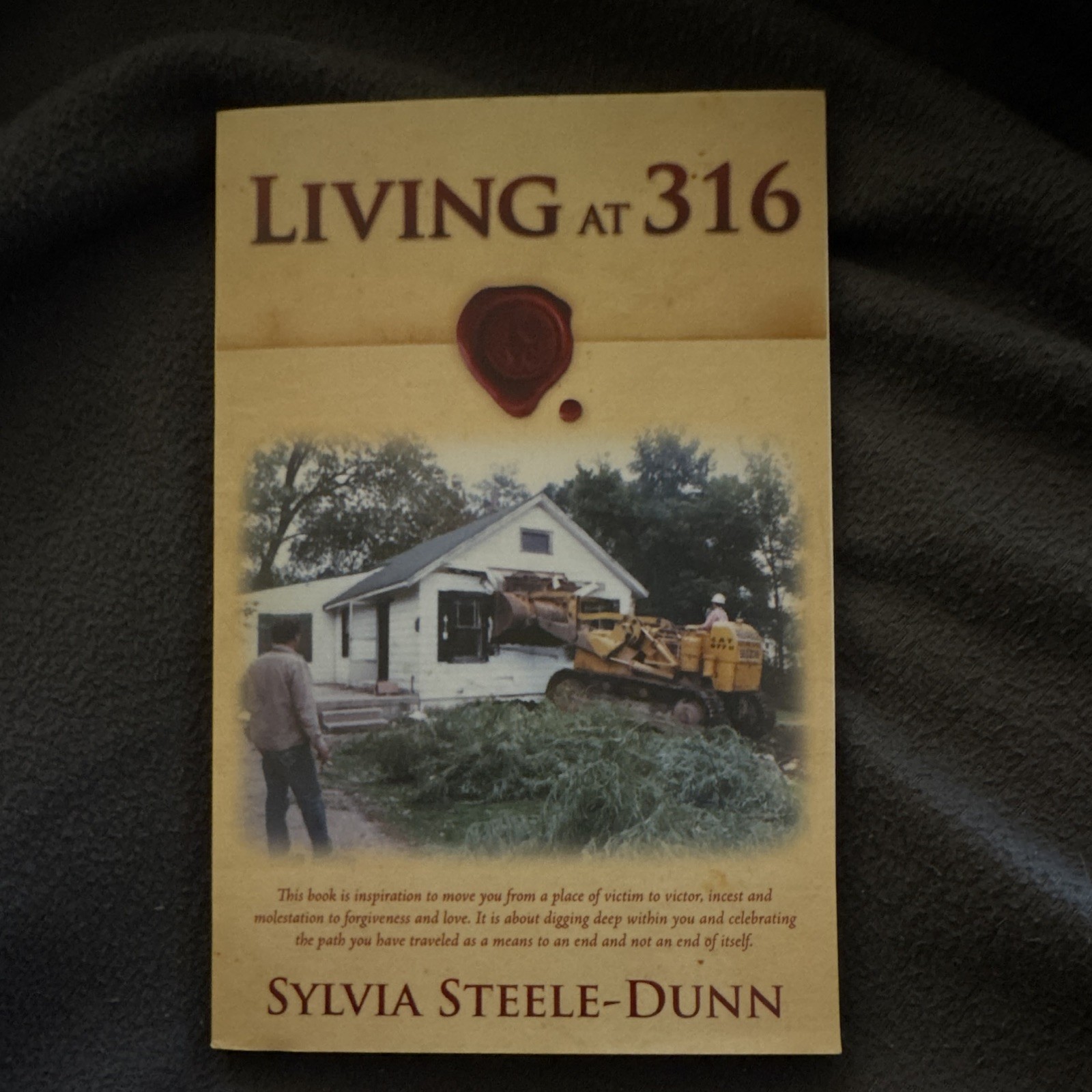 Living at 316 by Sylvia Steele-Dunn (2012, Trade Paperback) English