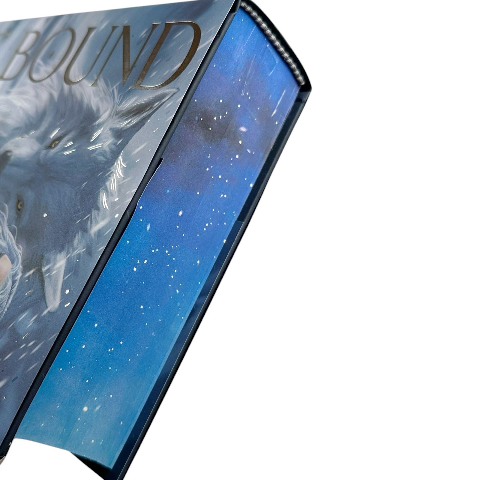 Dire Bound Fairyloot SIGNED Exclusive Edition Sable Sorensen (NEW)