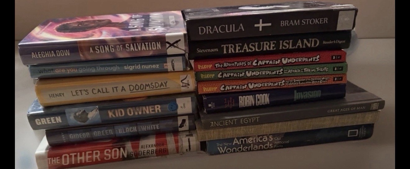 Lot 10 RANDOM Paperback Books + 5 Hardcover! Genre Mix/Suspense/Thriller/Horror