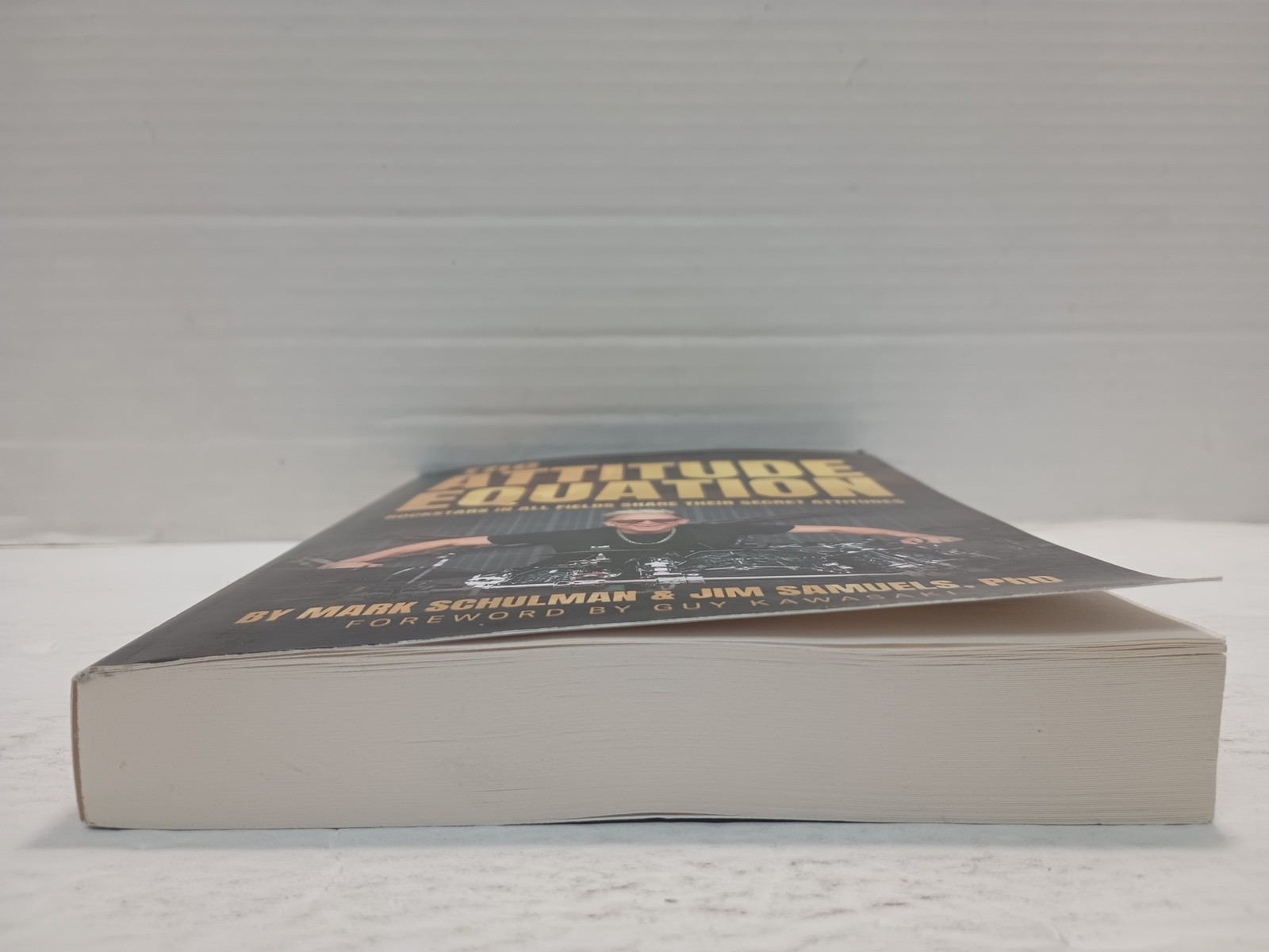 THE ATTITUDE EQUATION by Mark Schulman & Jim Samuels, PhD (2024, Pb)
