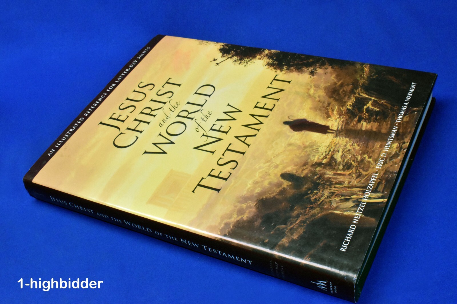 Jesus Christ and the World of the New Testament 1st Ed HCDJ Holzapfel Mormon LDS