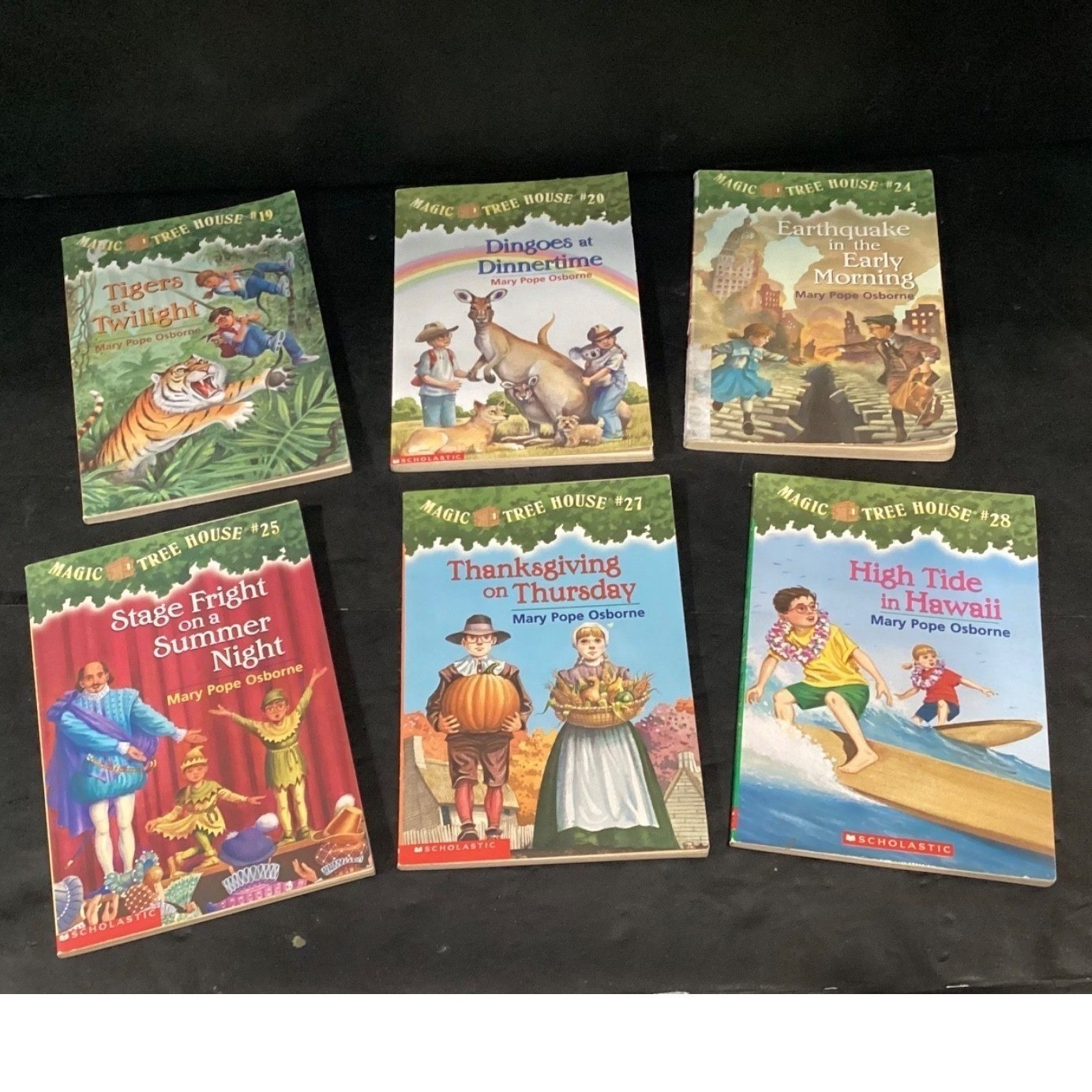 Magic Tree House Book Lot, Mary Pope Osborne 24 Paperbacks Merlin Missions Mixed