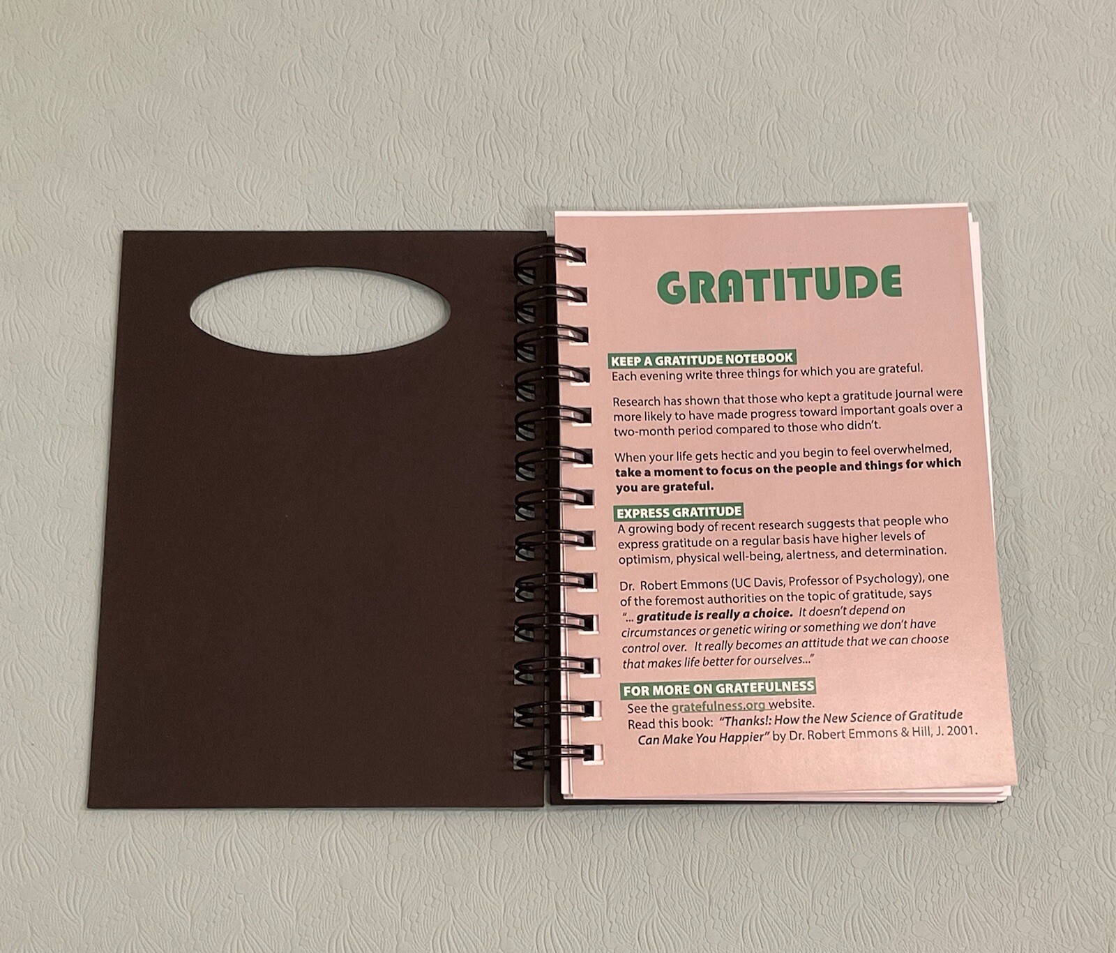 Gratitude journal Black With Green Embellishment 7.2in By 5.25in NEW