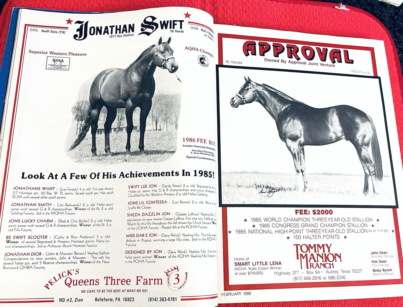 SALE ENDS 6/15! 1986 QUARTER HORSE JOURNAL Book – DYNAMIC DELUXE, ZAN PARR BAR