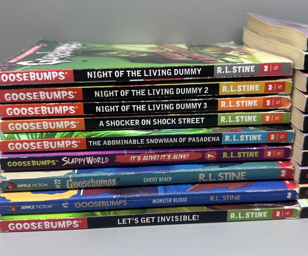 Mixed Lot of 19 Goosebumps Books Horrorland 1-10 Living Dummy 1-3 Etc RL Stine