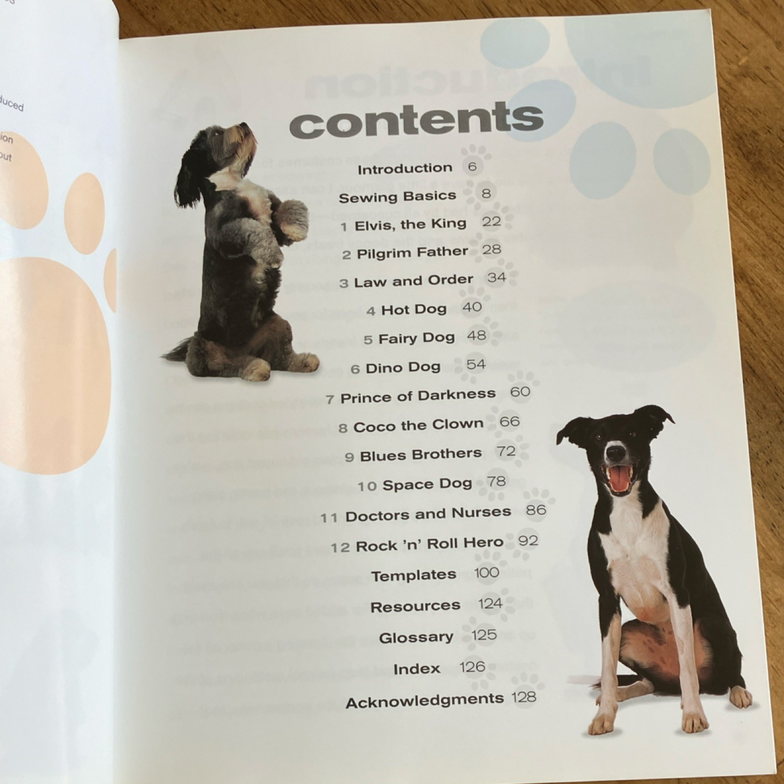 Doggy Fashion by Alison Jenkins, Paperback, Barron’s, Dogs & Fashion