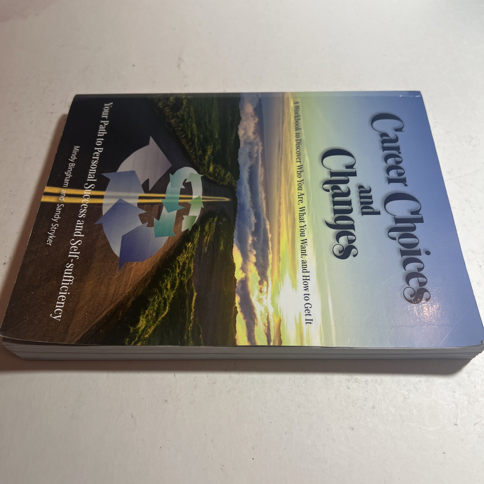 Career Choices and Changes Workbook Textbook Study Guide for Personal Success VG
