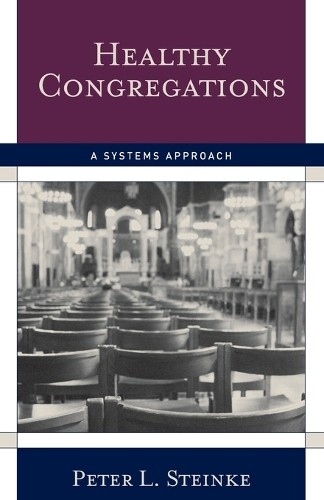 Peter L. Steinke Healthy Congregations (Paperback)