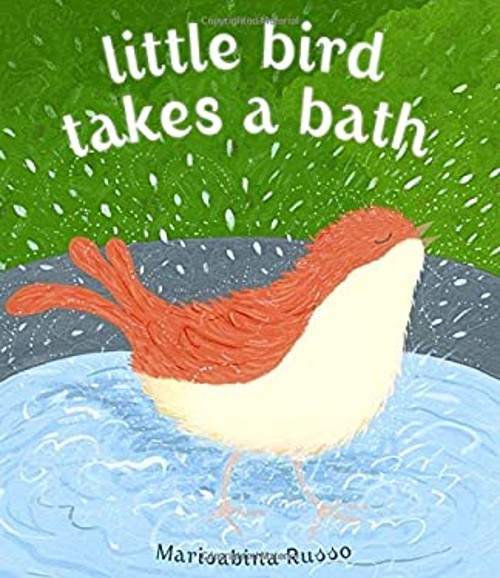 Little Bird Takes a Bath Picture Book Marisabina Russo