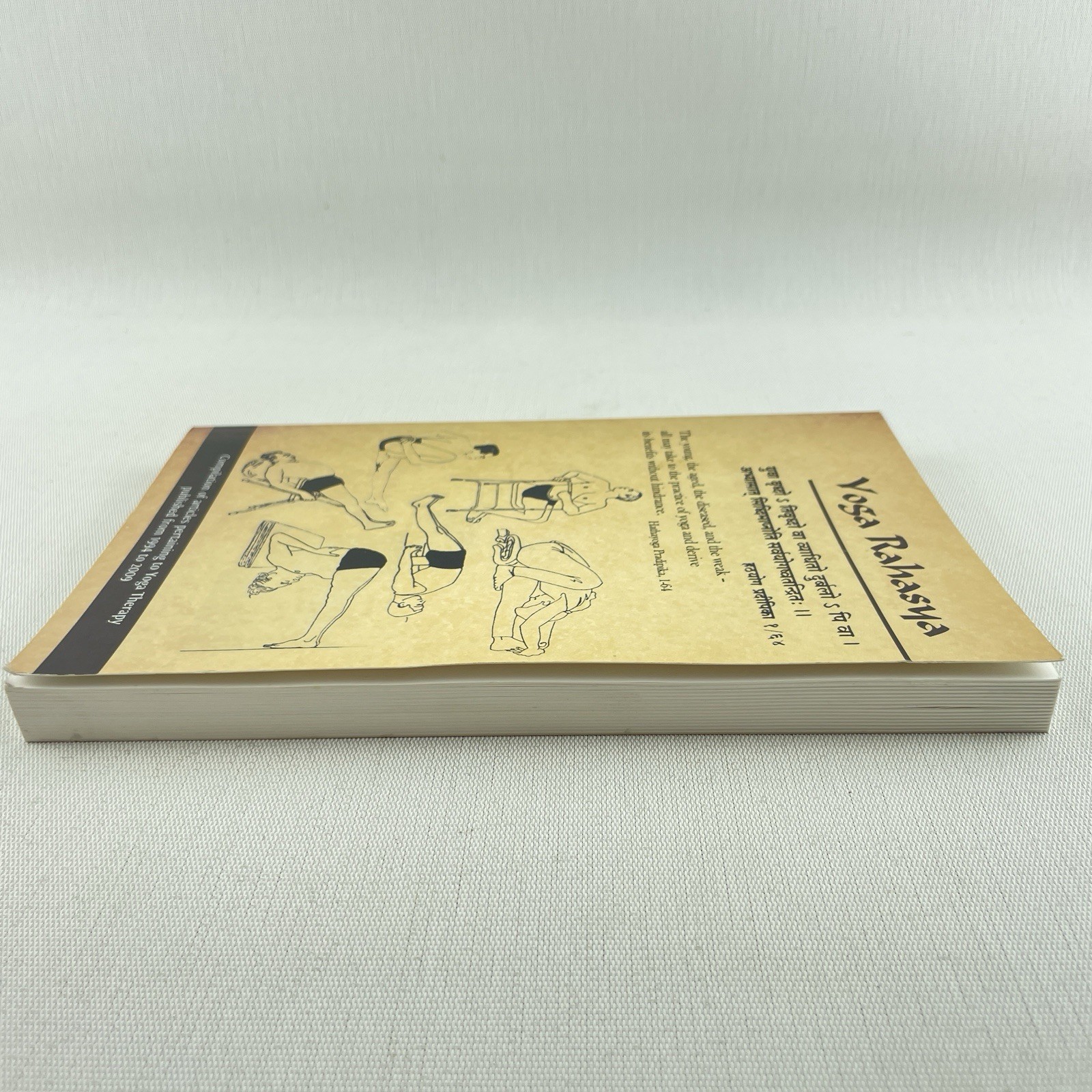 Yoga Rahasya Therapy Issue 1994-2009 Compilation BKS Iyengar Yoga PB Book