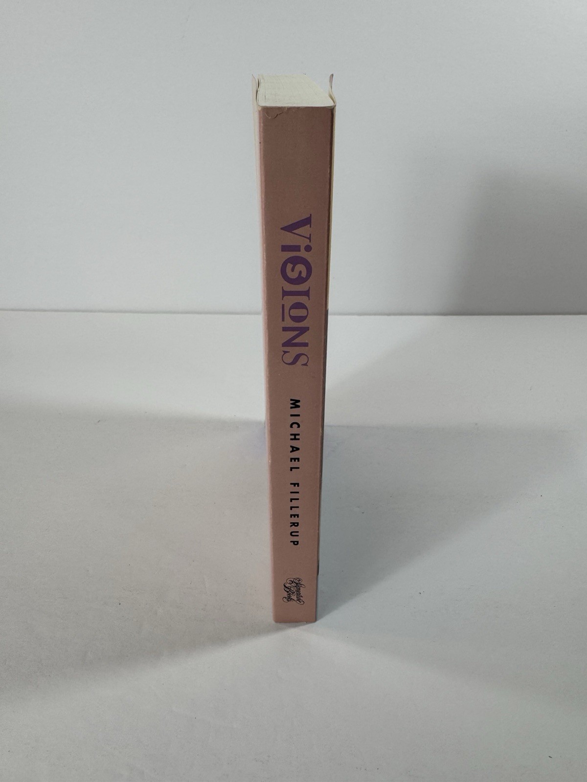 Visions and Other Stories