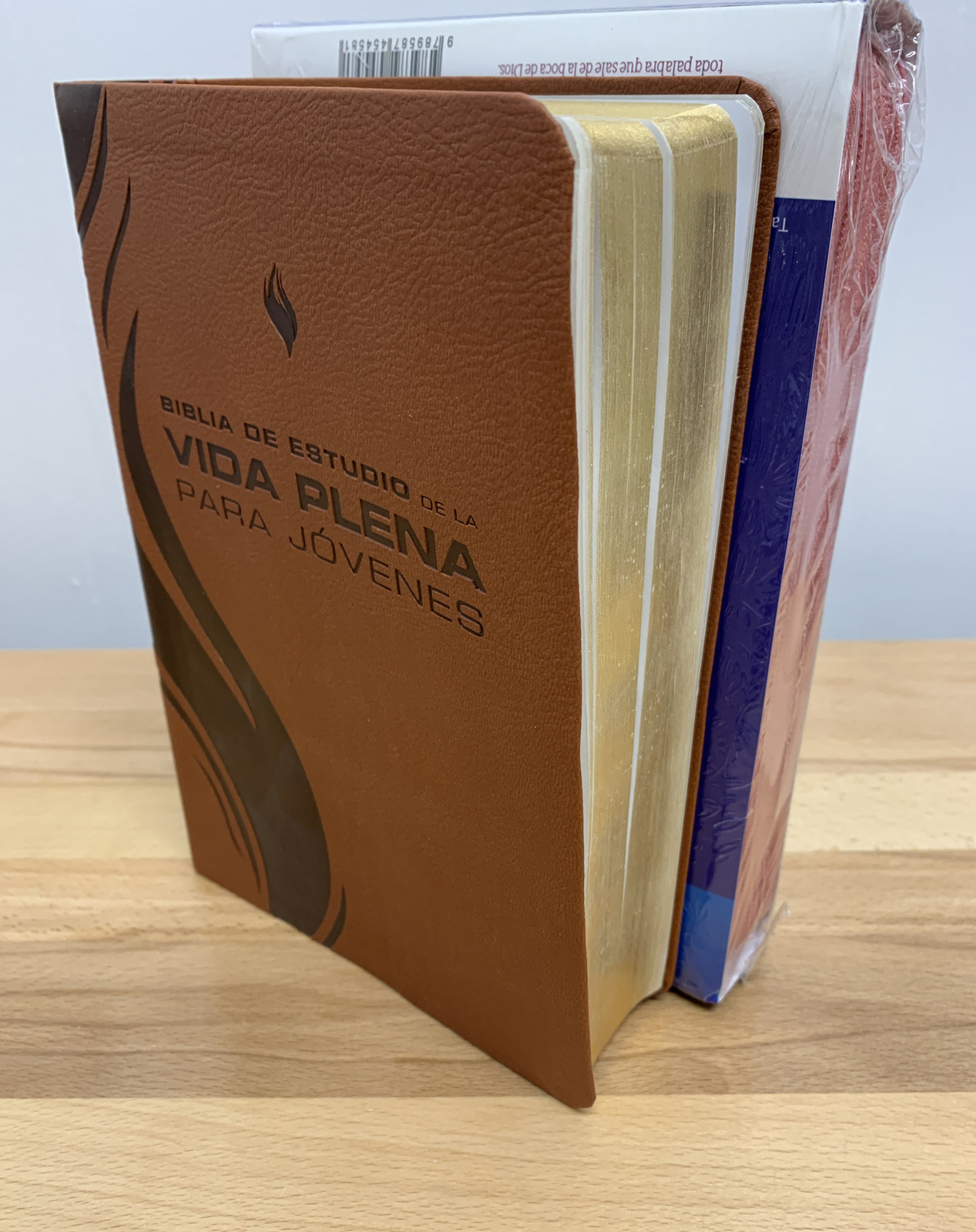 BIBLIA DE ESTUDIO DE LA VIDA PLENA PARA JOVENES, REINA VALERA 1960, PIEL CAFE