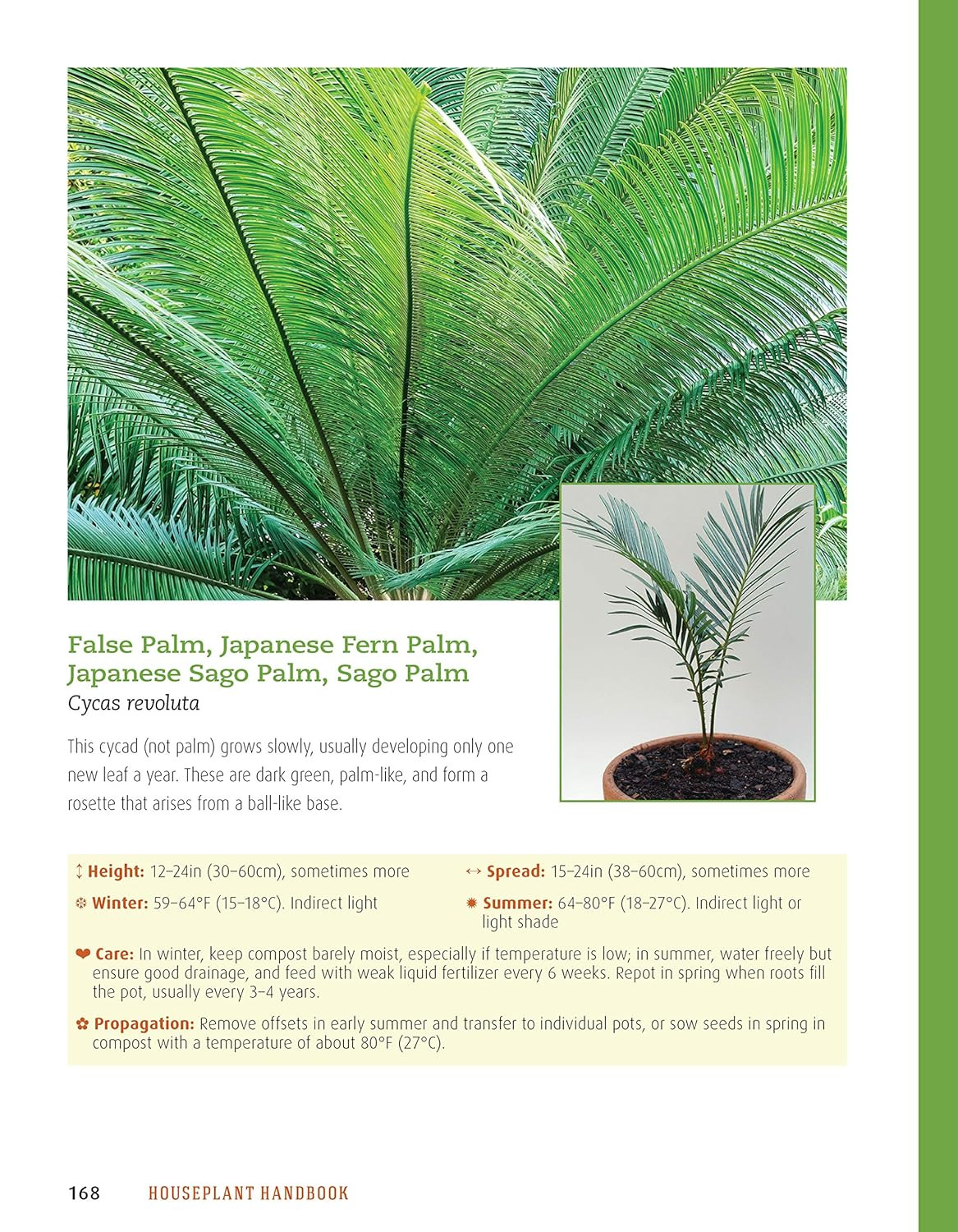 Houseplant Handbook: Basic Growing Techniques and a Directory of 300 Everyday Ho