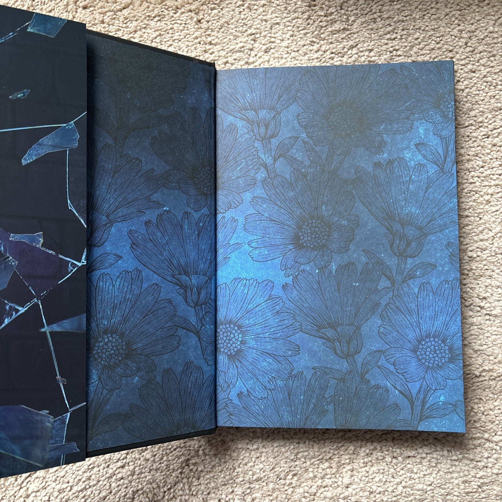 Torment Part 1 and Part 2 by Dylan Page Mystic Book Box Special Editions