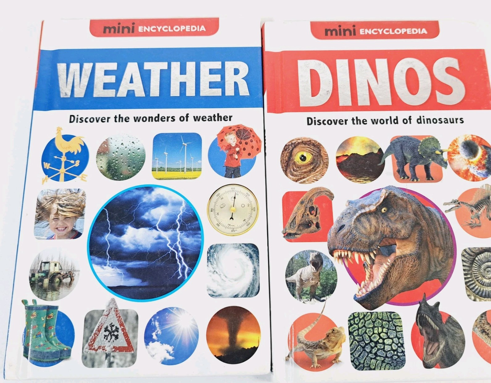 Dinos & Weather (Mini Encyclopedias) – Hardcover By Phillips, Sarah – GOOD