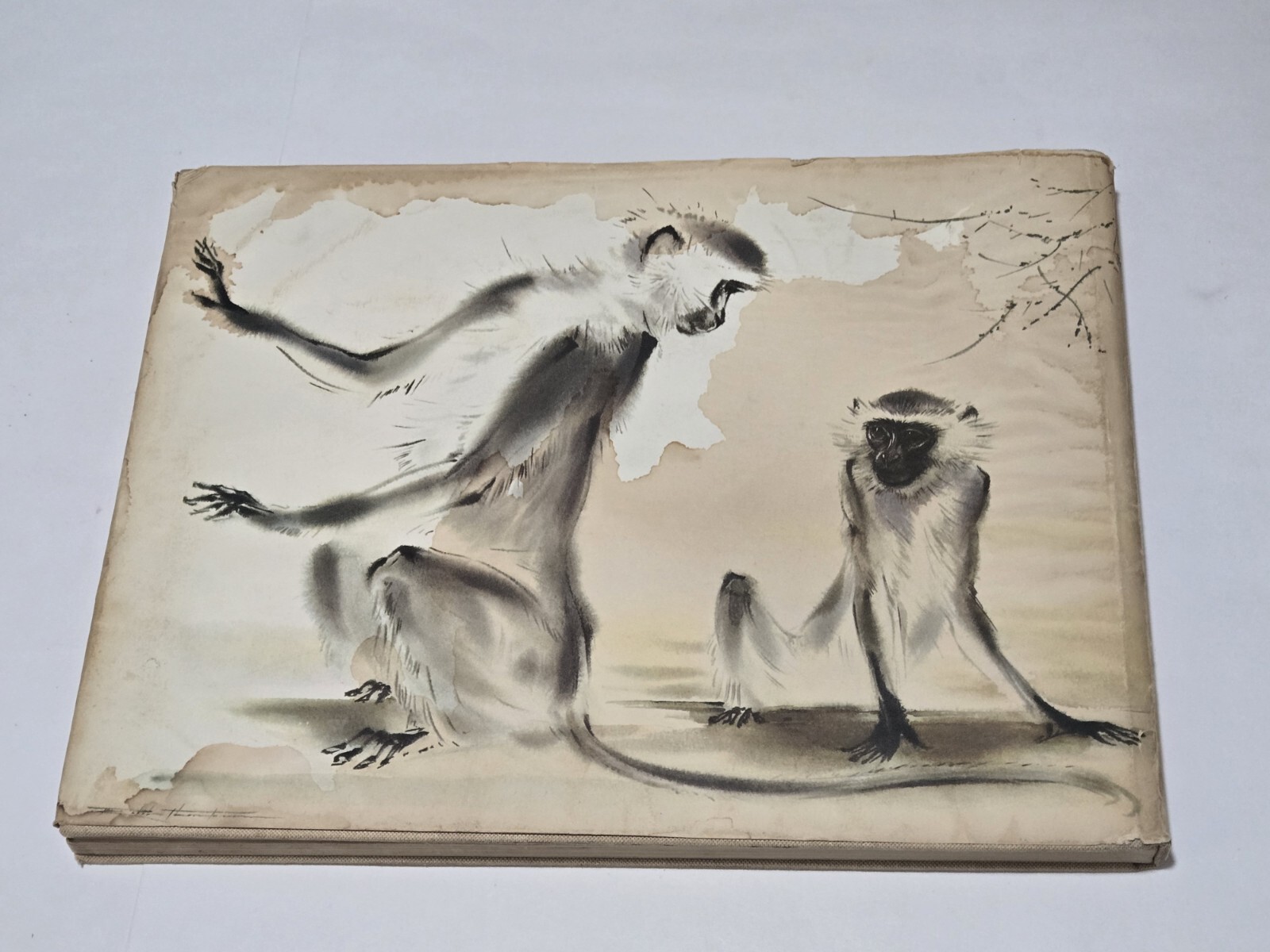 An Artist’s Safari By Ralph Thompson 1970 Hardcover DJ Artist Sketch Book