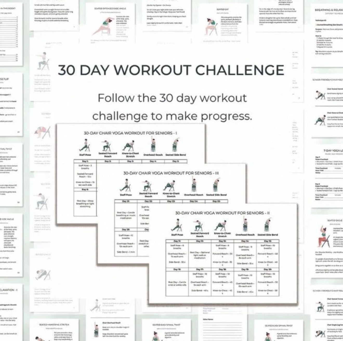 30 Day Chair Yoga for Seniors –Weight Loss Guide & Illustrated Exercise Notebook