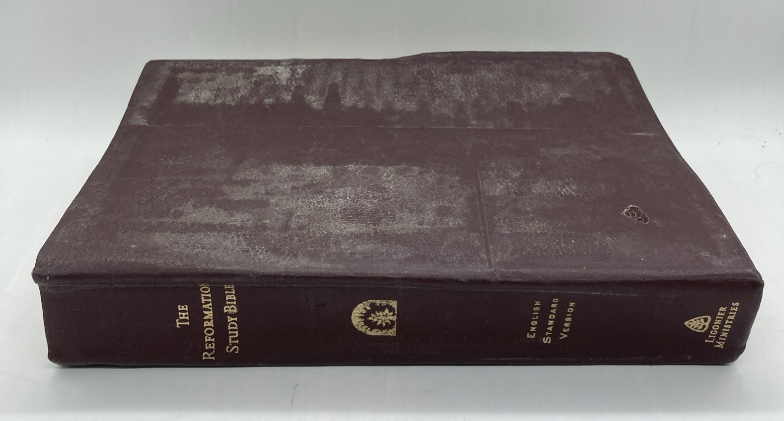 The Reformation Study Bible ESV English Standard Version Ligonier Ministries