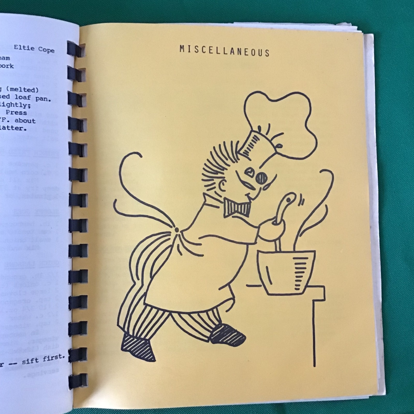 Ohio Susannah Shaum Alice Van Pelt Family Friends Vintage 1960s Spiral Cookbook