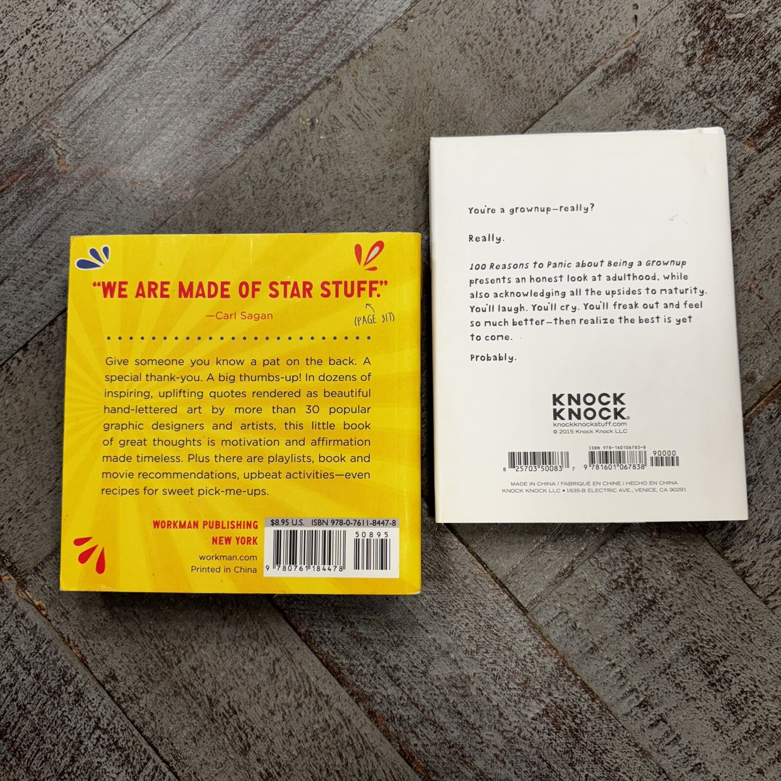 Lot Of 2 Funny Self Help books PANIC ABOUTBEING GROWN UP & DOING GREAT JOB