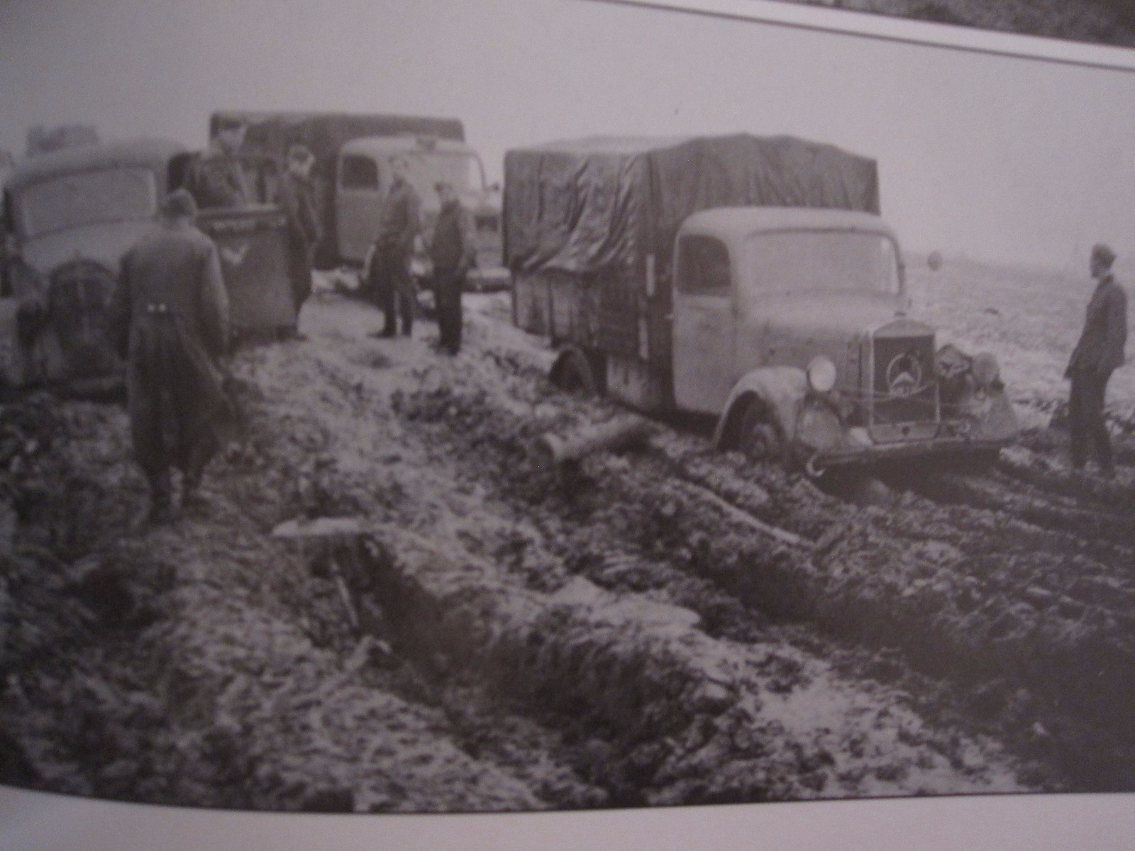 11 Panzerdivision in action; 1941 – 112 pages, Color Profiles, BW photos