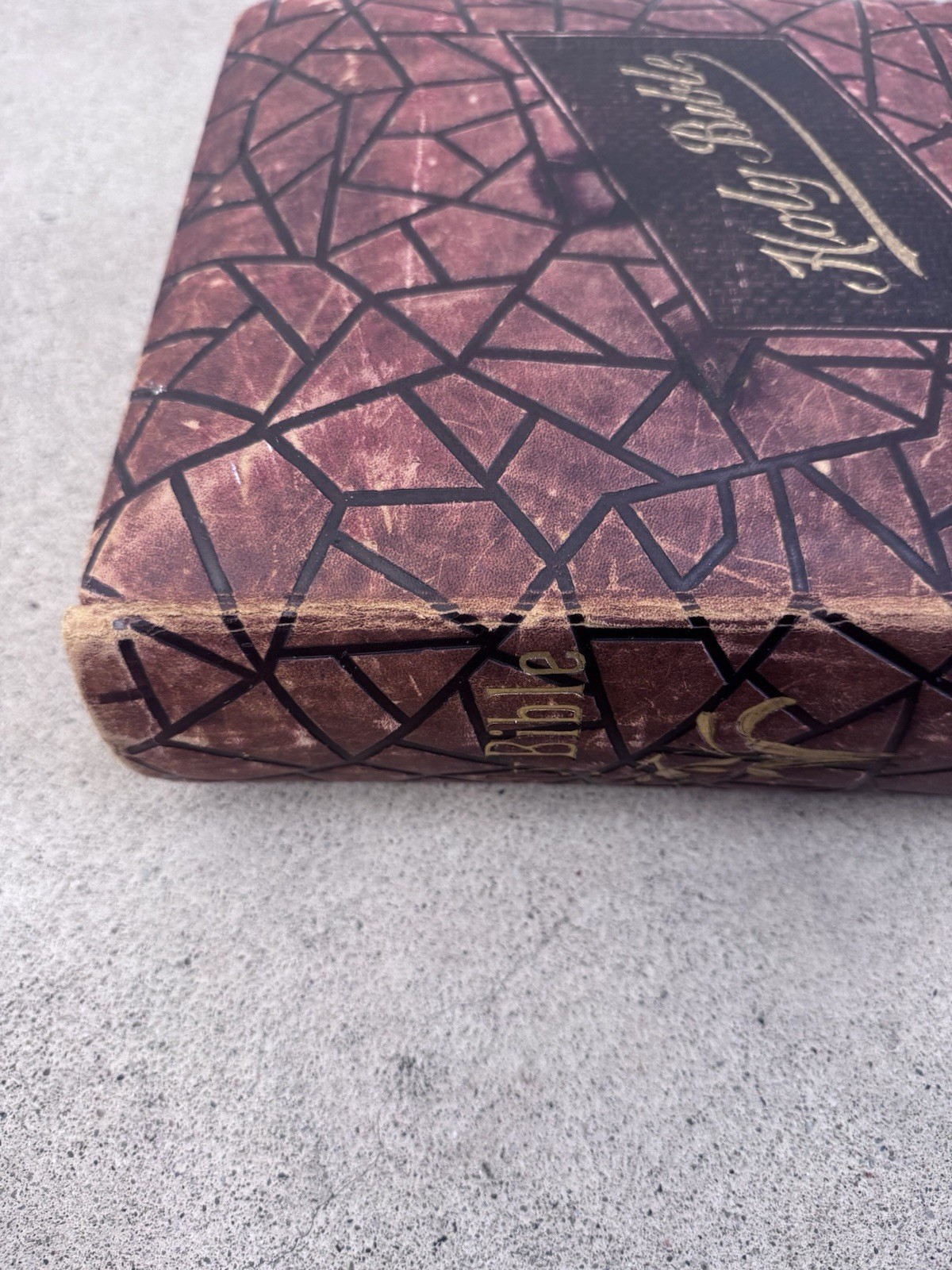 1800s Vintage Book Holy Bible Altemus Antique Leather Original