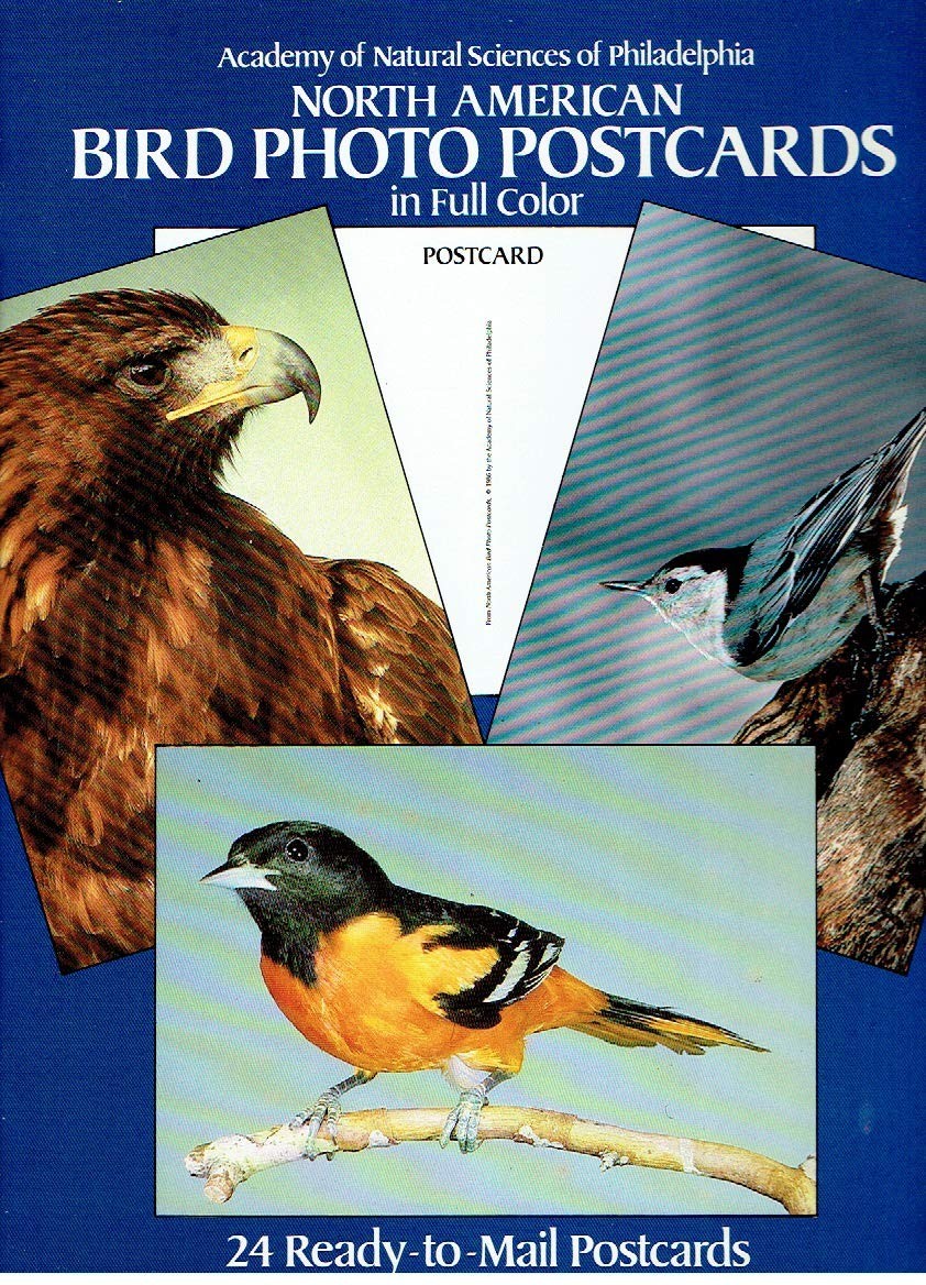 North American Bird Photo Postcards in Full Color