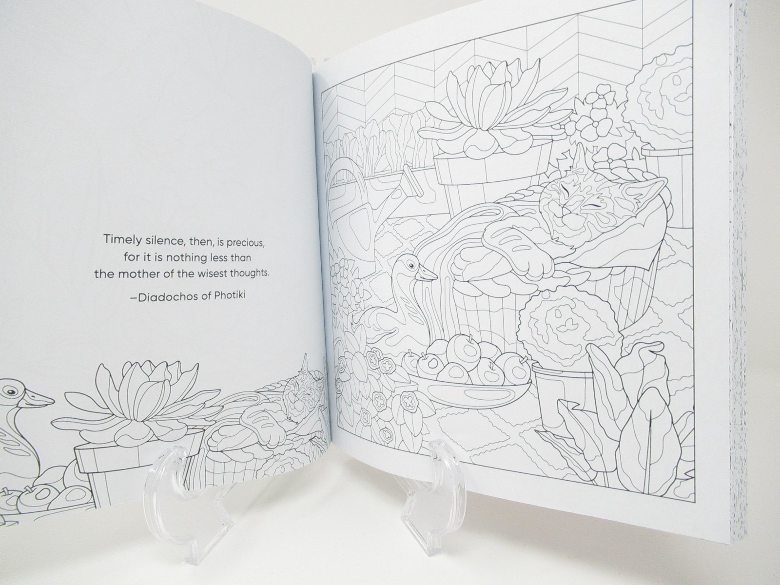 Adult Coloring Book Color Me 80+pages intricate designs patterns