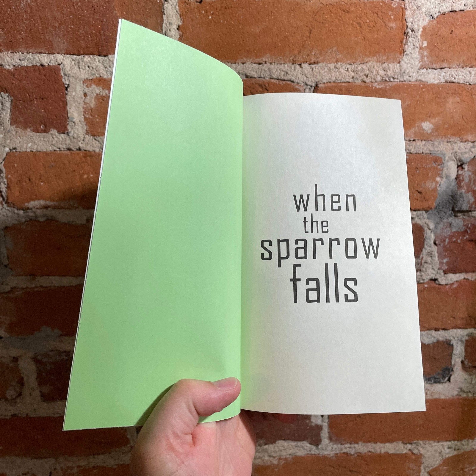 When the Sparrow Falls – Neil Sharpson – 2021 1st Tor Books Trade Paperback