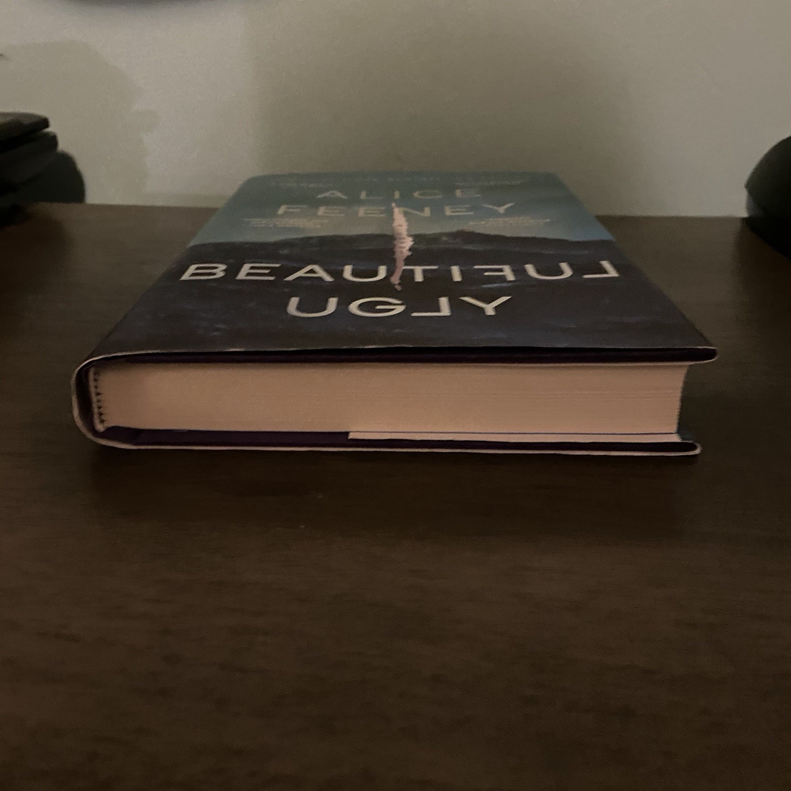 Beautiful Ugly : A Novel by Alice Feeney (2025, Hardcover)