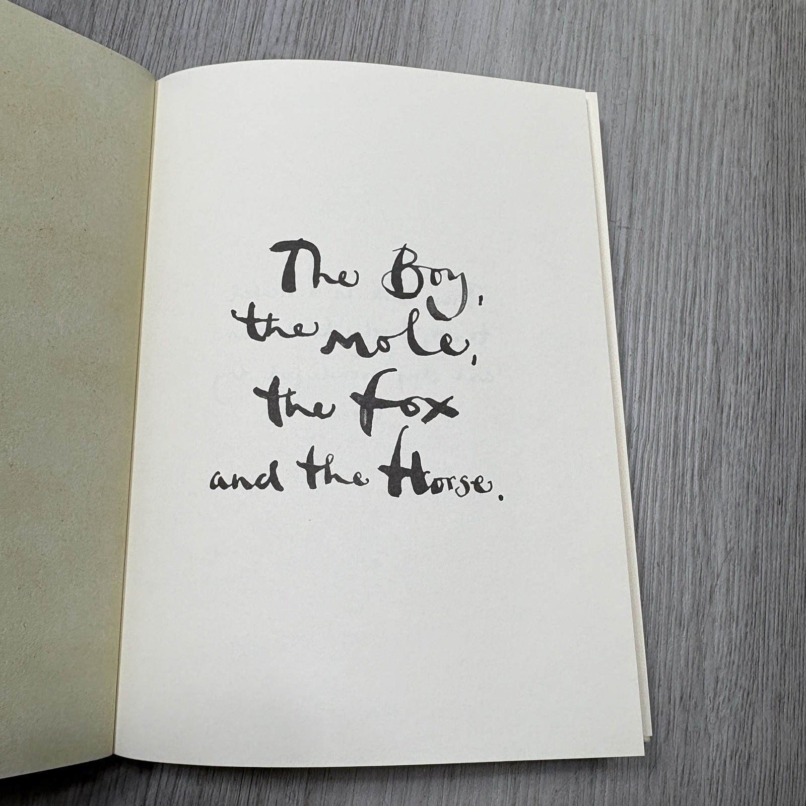 The Boy, the Mole, the Fox, and the Horse – Hardcover By Mackesy, Charlie