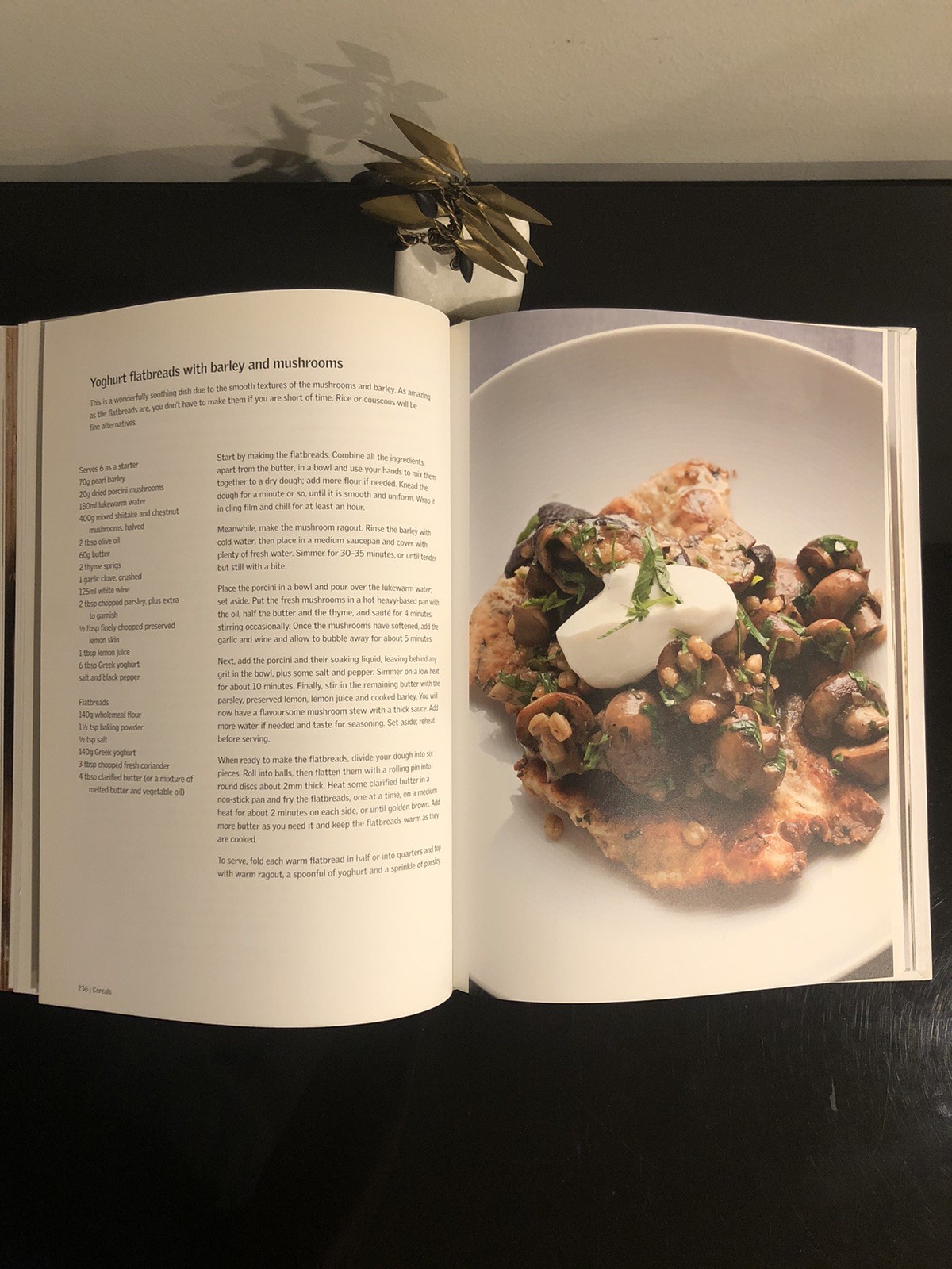 Yotam Ottolenghi Plenty Ebury Press 2010 First Ed. HC LN Cookbook