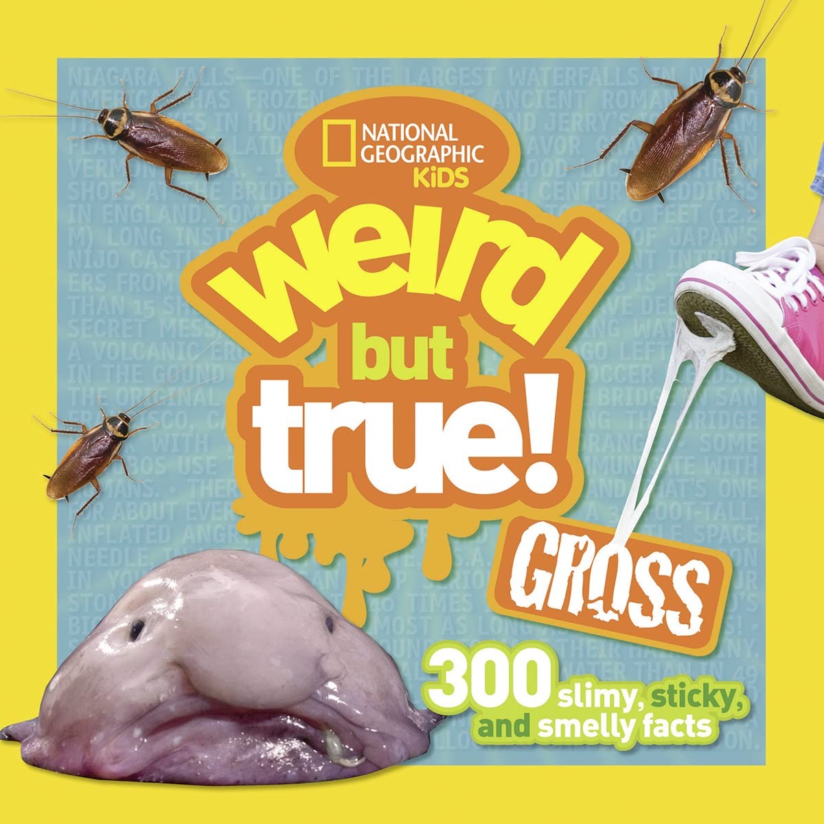 Weird But True! Gross: 300 Slimy, Sticky, and Smelly Facts – paperback Natio…