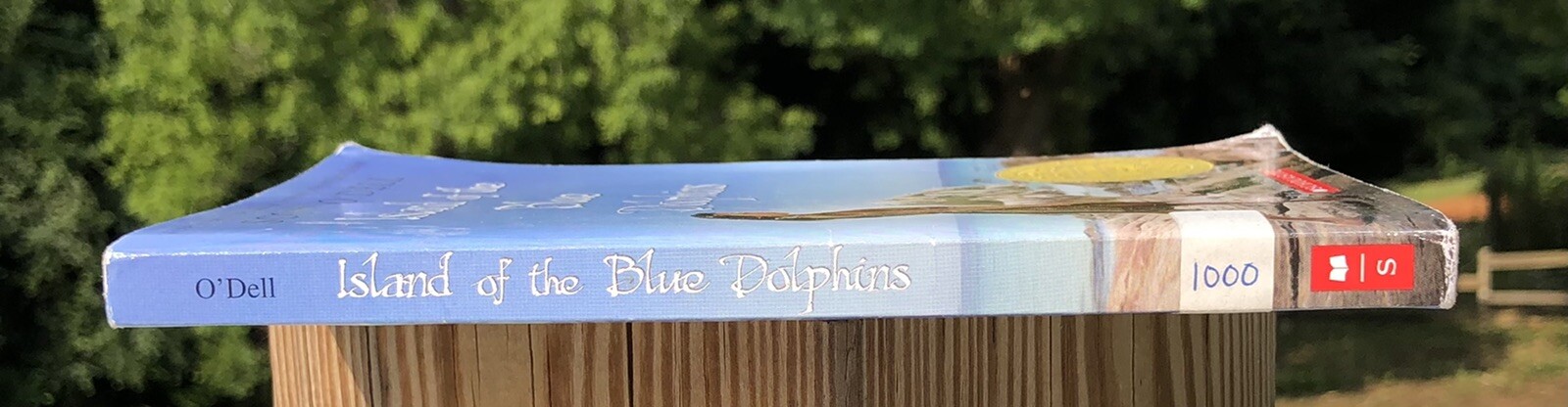 Island of the Blue Dolphins Paperback