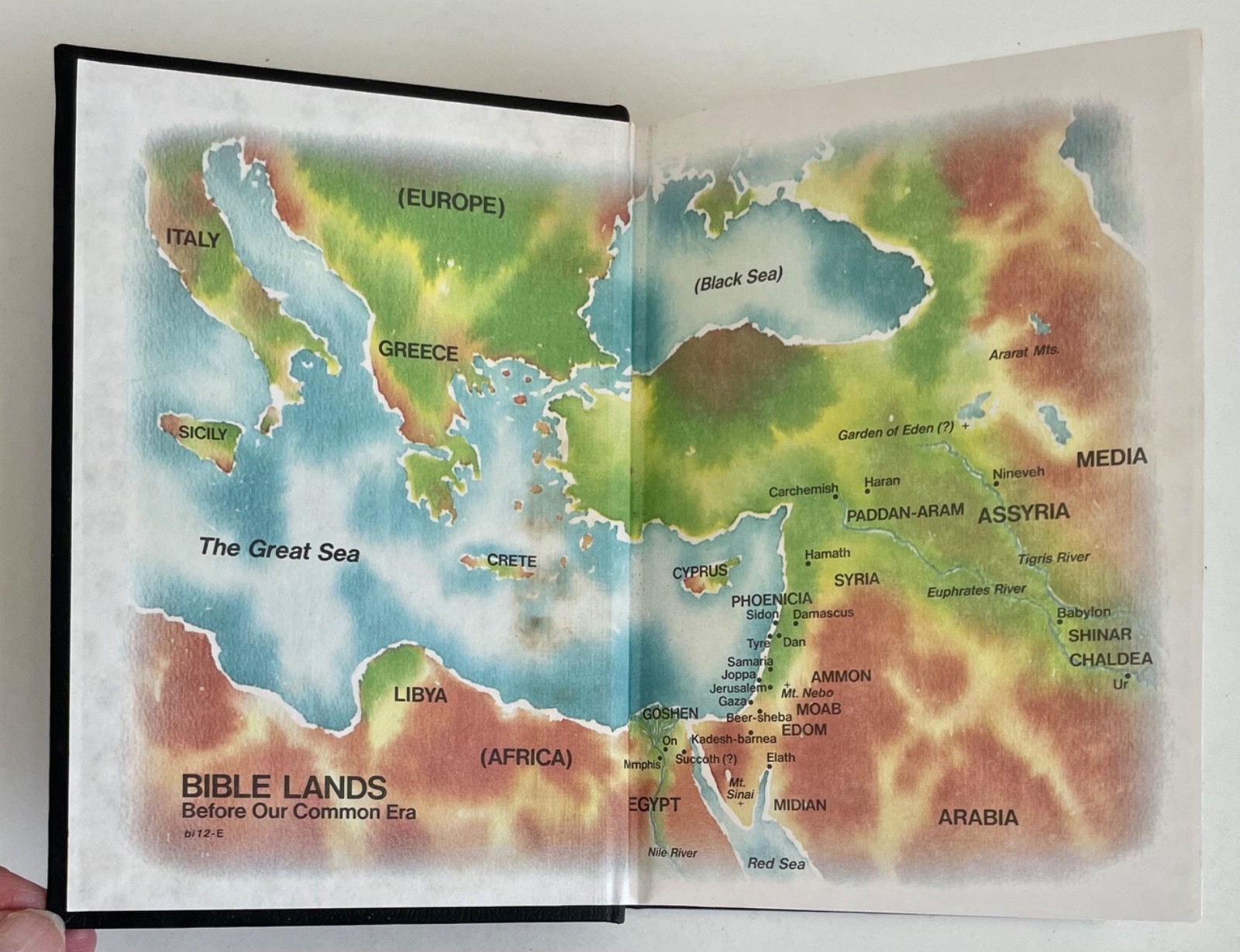 NEW WORLD TRANSLATION OF THE HOLY SCRIPTURES WatchTower Society Black Cover 1984