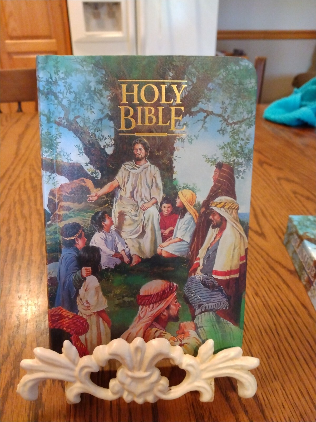 Children’s Bible KJV Seaside Bible Illustrated Nelson Hardcover blue edge