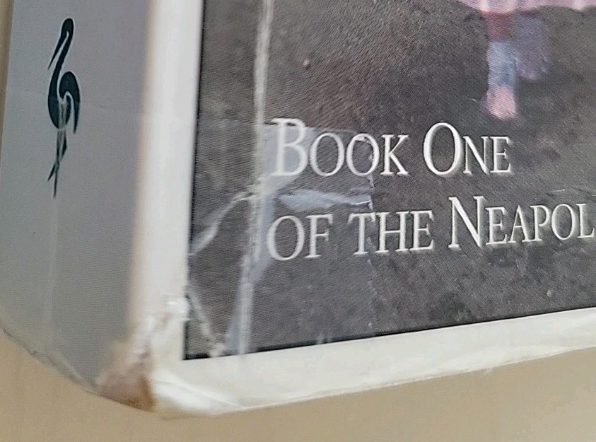 Elena Ferrante Neapolitan FULL SET Collection 4 Trade Paperbacks Europa Editions