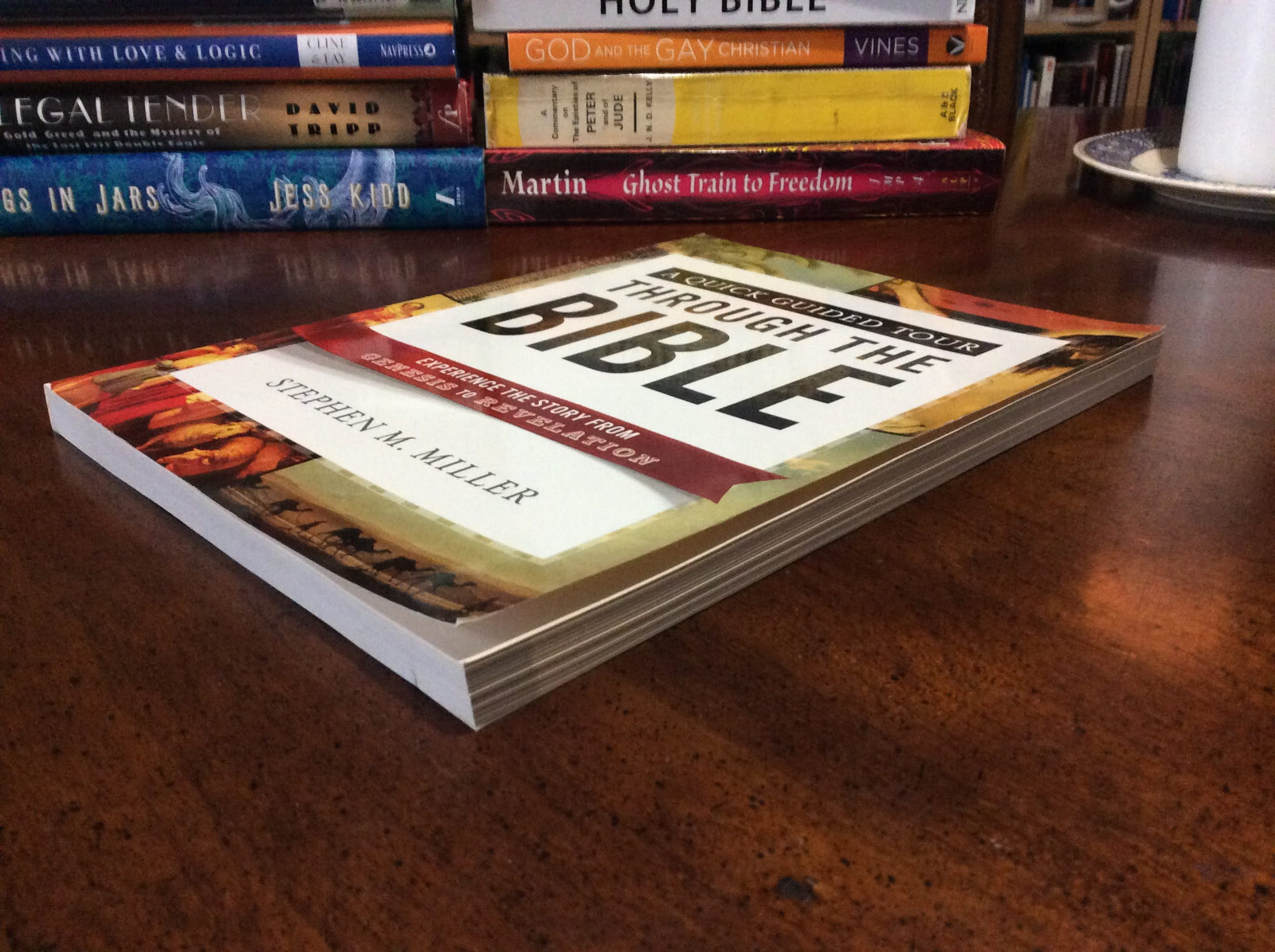 A QUICK GUIDED TOUR THROUGH THE BIBLE: EXPERIENCE THE By Stephen M. Miller PB VG