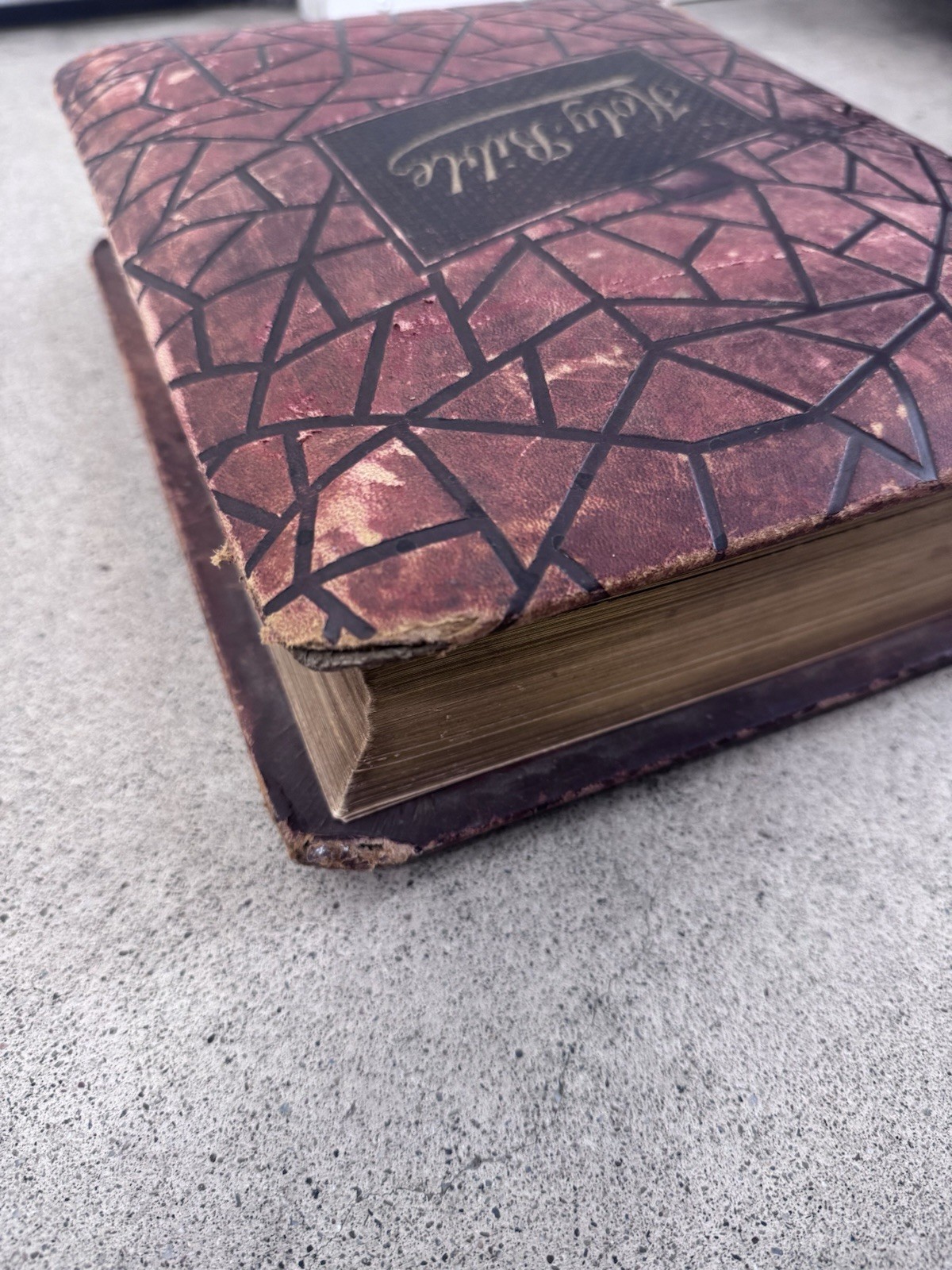 1800s Vintage Book Holy Bible Altemus Antique Leather Original