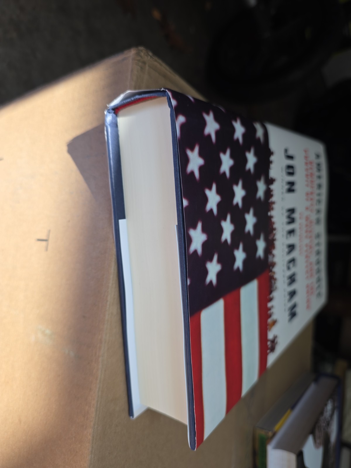 American Struggle : Democracy, Dissent, and the Pursuit of a More Perfect Union: